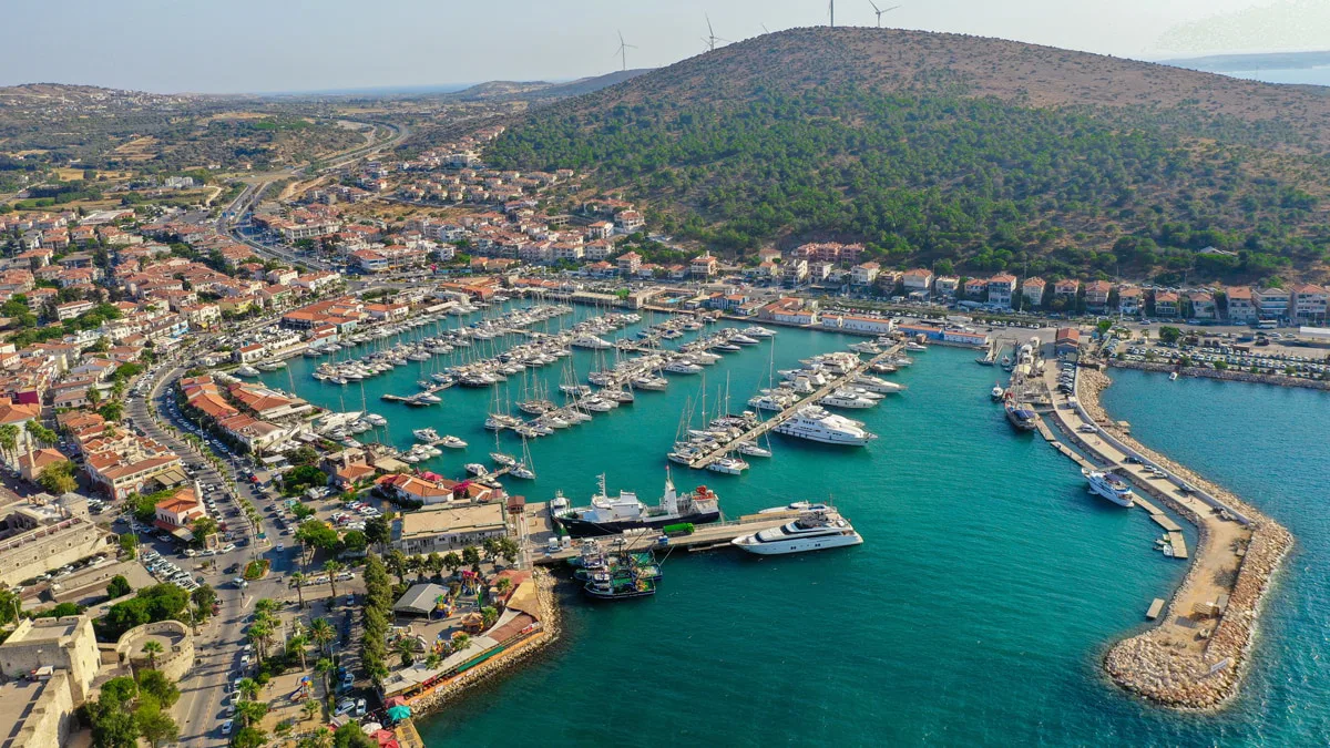 Ardıç